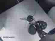 2010 Chevrolet Malibu 2LT с VIN 1G1ZD5E7XAF315264, выставлен на аукционе IAAI как лот 42961915 с пробегом 162 523 миль миль и . История ставок и продаж доступна на DreamBid. Изображение 11.