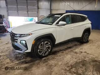 2025 Hyundai Tucson Limited с VIN KM8JEDD18SU325292, выставлен на аукционе Copart как лот 70113035 с пробегом 3 315 миль миль и Списание • Salvage title. История ставок и продаж доступна на DreamBid. Изображение 1.