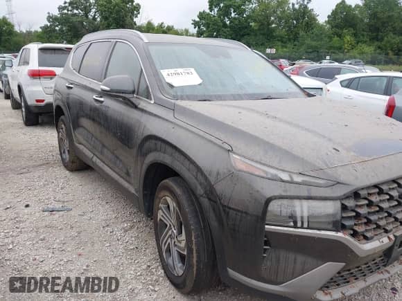 2023 Hyundai Santa Fe SEL с VIN 5NMS2DAJ3PH611443, выставлен на аукционе IAAI как лот 42981782 с пробегом Не указан миль и . История ставок и продаж доступна на DreamBid. Изображение 1.