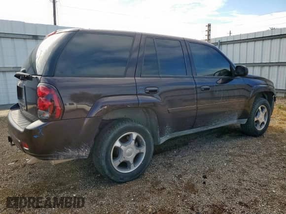 2008 Chevrolet TrailBlazer 2LT с VIN 1GNDS13S182125482, выставлен на аукционе Copart как лот 71184575 с пробегом 184 059 миль миль и Списание • Salvage title. История ставок и продаж доступна на DreamBid. Изображение 3.