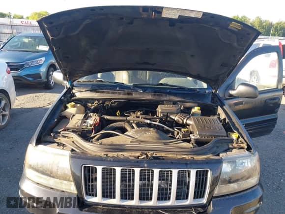 2004 Jeep Grand Cherokee Laredo с VIN 1J4GW48S94C334648, выставлен на аукционе IAAI как лот 42191008 с пробегом 155 411 миль миль и . История ставок и продаж доступна на DreamBid. Изображение 10.