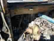 2022 Jeep Wrangler Unlimited Rubicon с VIN 1C4JJXR61NW274975, выставлен на аукционе Copart как лот 53778635 с пробегом Не указан миль и На запчасти • Non repairable. История ставок и продаж доступна на DreamBid. Изображение 9.