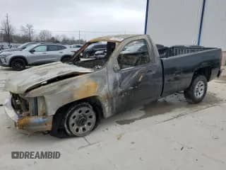2009 Chevrolet Silverado 1500 Work Truck with VIN 1GCEC14C29Z204444, listed as a Copart auction lot 43512335 with Not provided miles and Non repairable. Bid and sale history available at DreamBid. Image 1.