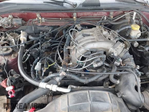 1997 Nissan Pathfinder XE with VIN JN8AR05Y9VW188020, listed as a IAAI auction lot 42298456 with 233,949 mi miles and . Bid and sale history available at DreamBid. Image 10.