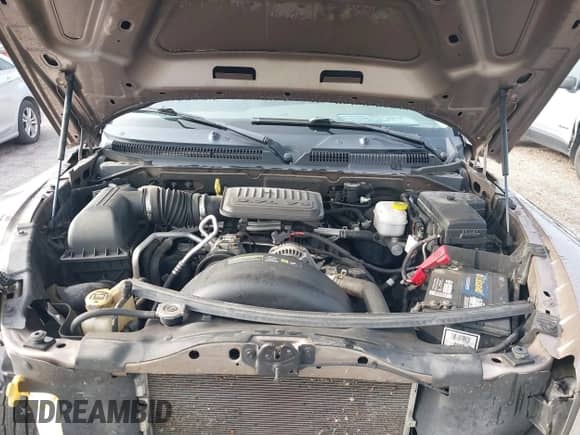 2009 Dodge Dakota SXT with VIN 1D7HE38K69S808629, listed as a IAAI auction lot 42981849 with 141,940 mi miles and . Bid and sale history available at DreamBid. Image 10.