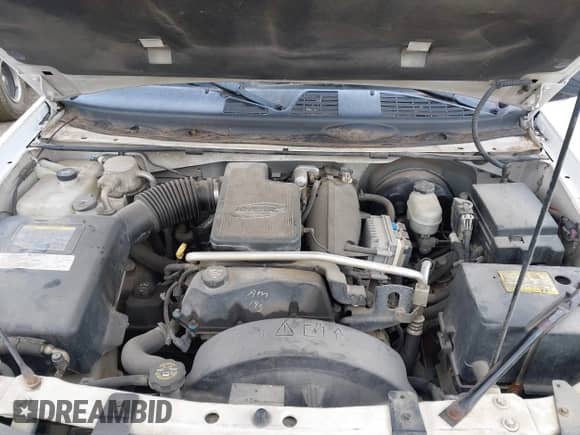 2004 Chevrolet TrailBlazer EXT LS z VIN 1GNET16S946159833, wystawiony jako IAAI lot #42647973 z przebiegiem 183 257 mil mil oraz . Historia ofert i sprzedaży dostępna na DreamBid. Obrazek 10.