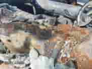 2013 Ram 1500 Big Horn z VIN 1C6RR7LT1DS505431, wystawiony jako IAAI lot #43238134 z przebiegiem Nie podano mil oraz . Historia ofert i sprzedaży dostępna na DreamBid. Obrazek 9.