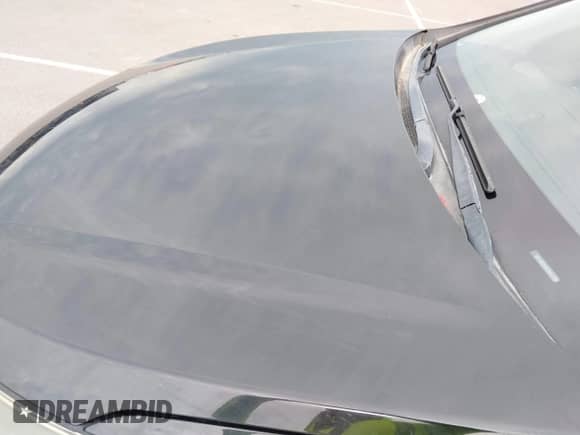 2017 Hyundai Santa Fe SE with VIN KM8SMDHF8HU175884, listed as a IAAI auction lot 42701609 with 154,605 mi miles and . Bid and sale history available at DreamBid. Image 19.