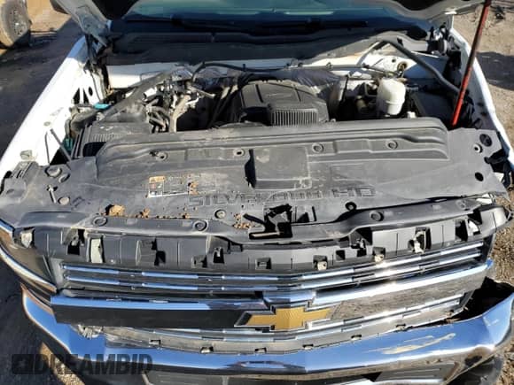 2017 Chevrolet Silverado 2500HD Work Truck with VIN 1GC1KUEG2HF150941, listed as a Copart auction lot 44385515 with Not provided miles and Salvage title. Bid and sale history available at DreamBid. Image 13.