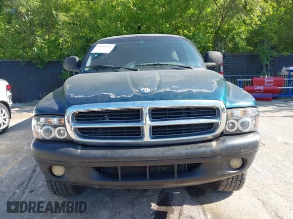 1999 Dodge Dakota SLT with VIN 1B7GG22X3XS104979, listed as a IAAI auction lot 42599452 with 184,389 mi miles and . Bid and sale history available at DreamBid. Image 6.