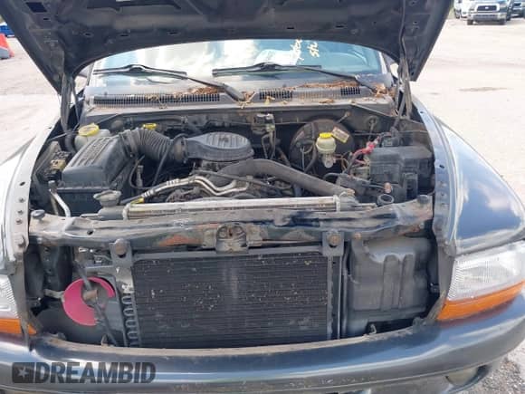 1998 Dodge Dakota SLT with VIN 1B7GG22Y9WS657708, listed as a IAAI auction lot 42840433 with 186,499 mi miles and . Bid and sale history available at DreamBid. Image 10.