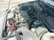 2003 Chevrolet Cavalier LS с VIN 1G1JF52F437159769, выставлен на аукционе IAAI как лот 43025158 с пробегом 125 711 миль миль и . История ставок и продаж доступна на DreamBid. Изображение 12.