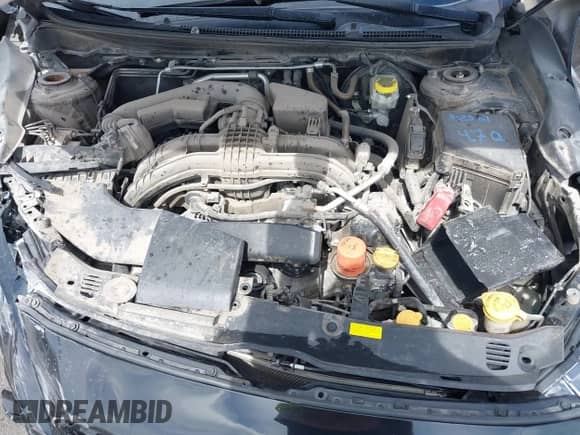 2017 Subaru Impreza Special Sports with VIN 4S3GTAK63H3710338, listed as a IAAI auction lot 41907585 with 99,338 mi miles and . Bid and sale history available at DreamBid. Image 10.