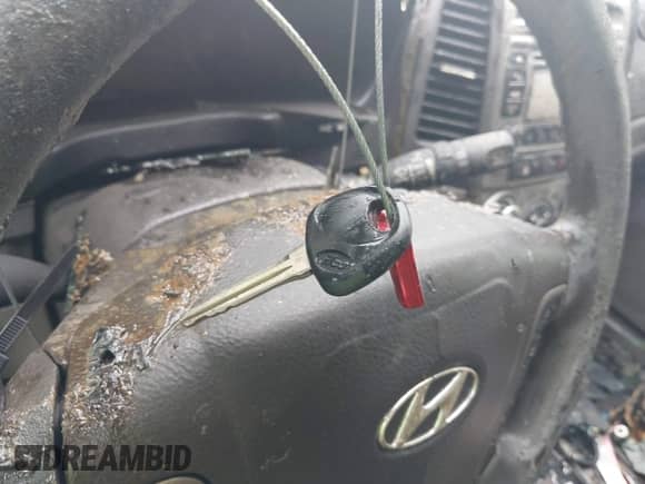 2011 Hyundai Santa Fe GLS with VIN 5XYZGDAB4BG032912, listed as a IAAI auction lot 42926960 with Not provided miles and . Bid and sale history available at DreamBid. Image 11.