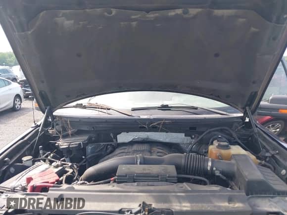 2011 Ford F-150 XLT z VIN 1FTFW1ET7BFB36188, wystawiony jako IAAI lot #42669037 z przebiegiem Nie podano mil oraz . Historia ofert i sprzedaży dostępna na DreamBid. Obrazek 10.