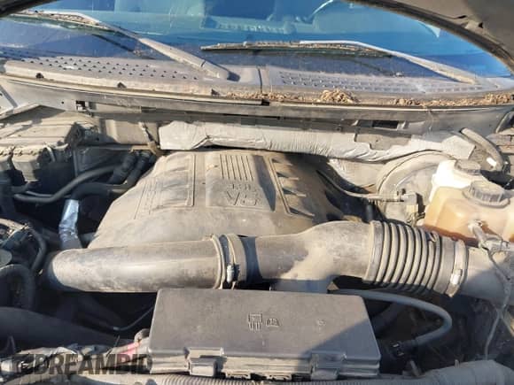 2013 Ford F-150 XL with VIN 1FTFX1CT0DFC31890, listed as a IAAI auction lot 42867290 with 329,051 mi miles and . Bid and sale history available at DreamBid. Image 10.