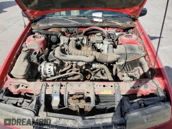 1994 Chevrolet Beretta с VIN 1G1LV1540RY168955, выставлен на аукционе Copart как лот 78287964 с пробегом 181 391 миль миль и Чистый • Clean title. История ставок и продаж доступна на DreamBid. Изображение 11.