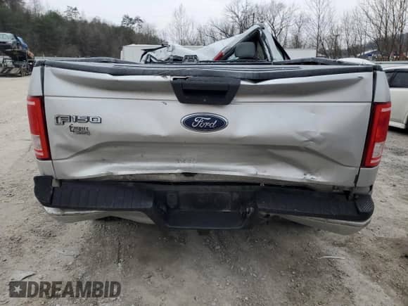 2017 Ford F-150 XL with VIN 1FTMF1EF9HKD68115, listed as a Copart auction lot 42555835 with Not provided miles and Salvage title. Bid and sale history available at DreamBid. Image 10.
