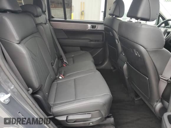2025 Hyundai Santa Fe SEL с VIN 5NMP2DGL6SH124311, выставлен на аукционе Copart как лот 71472395 с пробегом 3 263 миль миль и Списание • Salvage title. История ставок и продаж доступна на DreamBid. Изображение 11.