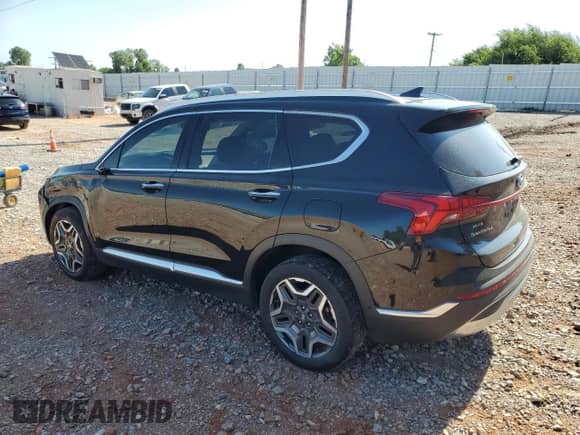 2021 Hyundai Santa Fe Limited with VIN 5NMS44AL7MH318829, listed as a Copart auction lot 66167225 with 58,344 mi miles and Salvage title. Bid and sale history available at DreamBid. Image 2.
