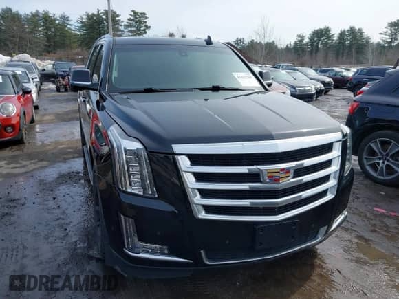 2019 Cadillac Escalade with VIN 1GYS4AKJ1KR201651, listed as a IAAI auction lot 41622368 with 95,201 mi miles and . Bid and sale history available at DreamBid. Image 12.