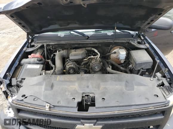 2007 Chevrolet Silverado 1500 Work Truck with VIN 1GCEC14X27Z639934, listed as a Copart auction lot 66834135 with 180,927 mi miles and Salvage title. Bid and sale history available at DreamBid. Image 11.