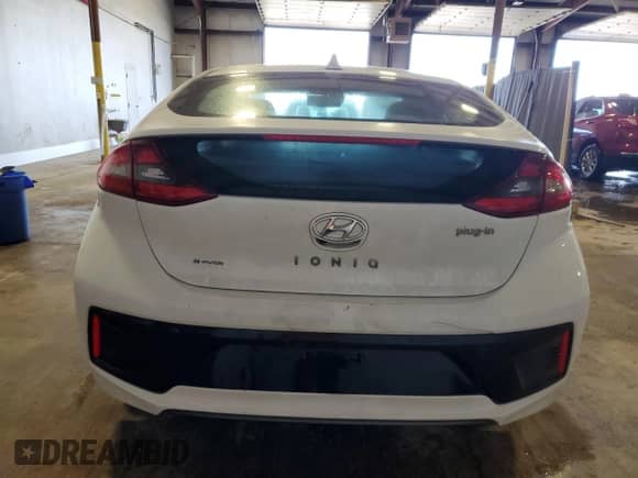2019 Hyundai Ioniq Limited with VIN KMHC75LD1KU172405, listed as a Copart auction lot 57291035 with 73,835 mi miles and Salvage title. Bid and sale history available at DreamBid. Image 6.