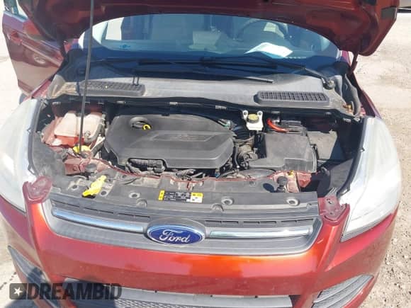 2014 Ford Escape SE with VIN 1FMCU0GX6EUA51972, listed as a IAAI auction lot 43330031 with 140,336 mi miles and . Bid and sale history available at DreamBid. Image 10.