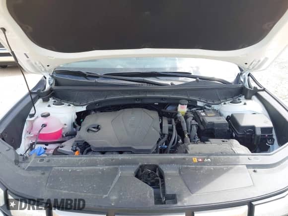 2025 Hyundai Santa Cruz SEL с VIN 5NTJB4DE7SH129243, выставлен на аукционе IAAI как лот 42003602 с пробегом 2 828 миль миль и . История ставок и продаж доступна на DreamBid. Изображение 10.