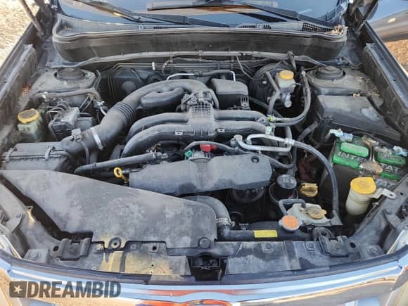 2011 Subaru Forester X Limited z VIN JF2SHAECXBH721135, wystawiony jako Copart lot #84920945 z przebiegiem 180 170 mil mil oraz Czysty tytuł • Clean title. Historia ofert i sprzedaży dostępna na DreamBid. Obrazek 11.