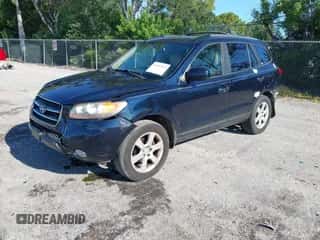 2007 Hyundai Santa Fe SE с VIN 5NMSH13E47H112941, выставлен на аукционе IAAI как лот 43049044 с пробегом 183 965 миль миль и . История ставок и продаж доступна на DreamBid. Изображение 2.