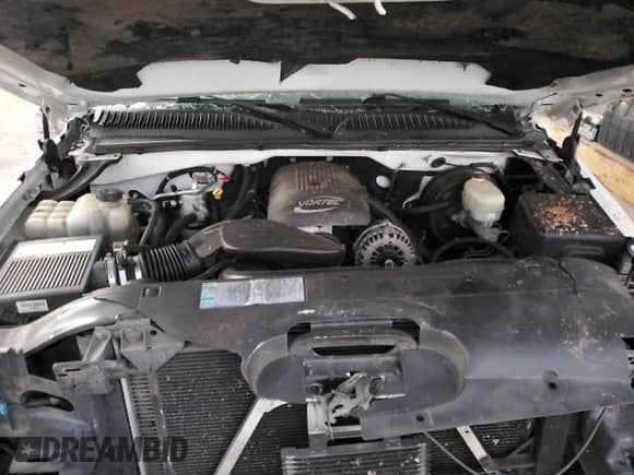 2006 Chevrolet Silverado 1500 LT3 with VIN 2GCEC13TX61190492, listed as a Copart auction lot 80458794 with Not provided miles and Salvage title. Bid and sale history available at DreamBid. Image 11.