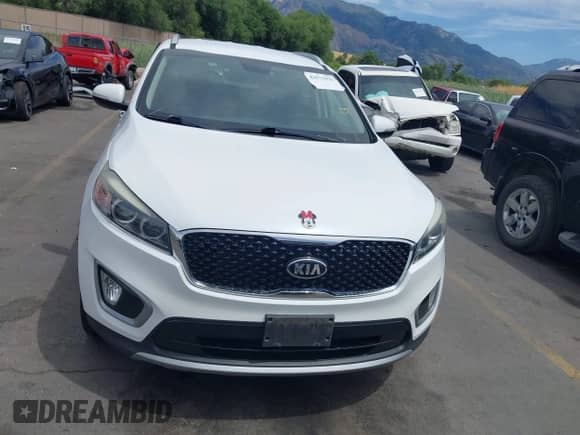 2017 Kia Sorento EX z VIN 5XYPHDA58HG312338, wystawiony jako IAAI lot #42573923 z przebiegiem 136 279 mil mil oraz . Historia ofert i sprzedaży dostępna na DreamBid. Obrazek 12.