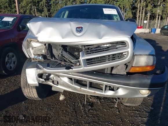 2001 Dodge Dakota with VIN 1B7GG2AX81S127263, listed as a IAAI auction lot 43440179 with 256,284 mi miles and . Bid and sale history available at DreamBid. Image 6.