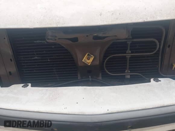 1994 Chevrolet S-10 LS с VIN 1GCCS19Z3R8141366, выставлен на аукционе IAAI как лот 41964754 с пробегом 191 756 миль миль и . История ставок и продаж доступна на DreamBid. Изображение 10.