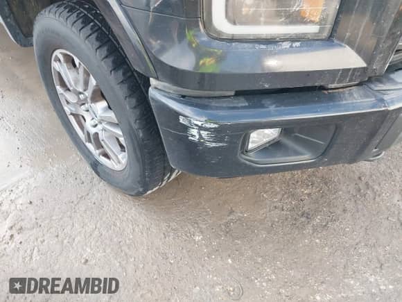 2016 Ford F-150 XLT z VIN 1FTEW1EP8GKE94073, wystawiony jako IAAI lot #43301958 z przebiegiem 185 114 mil mil oraz . Historia ofert i sprzedaży dostępna na DreamBid. Obrazek 18.