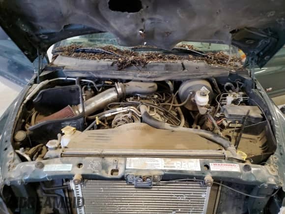 2001 Dodge 1500 с VIN 1B7HF13Z21J534405, выставлен на аукционе Copart как лот 70915575 с пробегом 105 152 миль миль и Списание • Salvage title. История ставок и продаж доступна на DreamBid. Изображение 11.