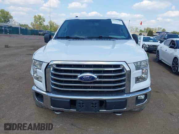 2016 Ford F-150 XLT с VIN 1FTFX1EF6GFD22934, выставлен на аукционе IAAI как лот 43329729 с пробегом 125 128 миль миль и . История ставок и продаж доступна на DreamBid. Изображение 12.