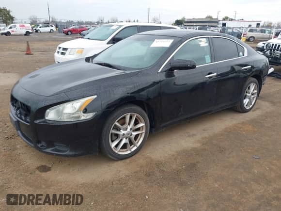 2013 Nissan Maxima SV z VIN 1N4AA5AP4DC803205, wystawiony jako IAAI lot #41714711 z przebiegiem 73 288 mil mil oraz . Historia ofert i sprzedaży dostępna na DreamBid. Obrazek 2.