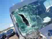 2019 Ram ProMaster Cargo z VIN 3C6TRVDG6KE517196, wystawiony jako IAAI lot #42613492 z przebiegiem 61 432 mil mil oraz . Historia ofert i sprzedaży dostępna na DreamBid. Obrazek 6.