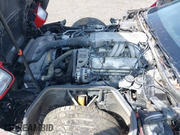 1988 Chevrolet Corvette с VIN 1G1YY3189J5120068, выставлен на аукционе IAAI как лот 43092997 с пробегом Не указан миль и . История ставок и продаж доступна на DreamBid. Изображение 10.