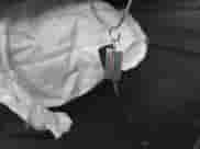 2023 Toyota Camry LE z VIN 4T1C11AK3PU141255, wystawiony jako IAAI lot #42938395 z przebiegiem 59 258 mil mil oraz . Historia ofert i sprzedaży dostępna na DreamBid. Obrazek 11.