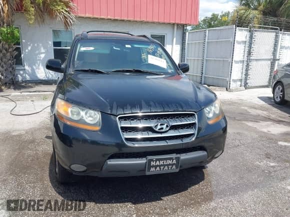 2008 Hyundai Santa Fe SE с VIN 5NMSH13EX8H163300, выставлен на аукционе IAAI как лот 42704614 с пробегом 304 928 миль миль и . История ставок и продаж доступна на DreamBid. Изображение 6.