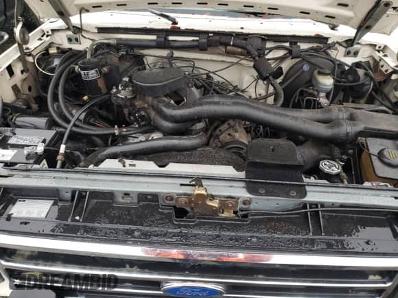 1991 Ford F-150 z VIN 1FTEF15N8MLA29118, wystawiony jako Copart lot #86580234 z przebiegiem 66 814 mil mil oraz Szkoda całkowita • Salvage title. Historia ofert i sprzedaży dostępna na DreamBid. Obrazek 11.