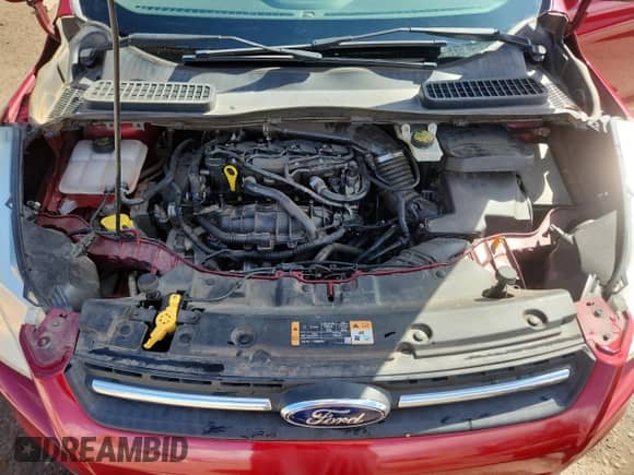 2014 Ford Escape SE with VIN 1FMCU0GX2EUE39118, listed as a Copart auction lot 81064115 with 187,207 mi miles and Salvage title. Bid and sale history available at DreamBid. Image 11.