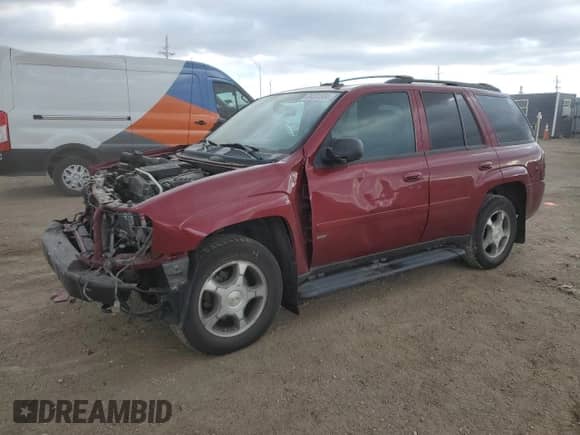 2009 Chevrolet TrailBlazer 1LT с VIN 1GNDT33S392128247, выставлен на аукционе Copart как лот 84531954 с пробегом 170 850 миль миль и Списание • Salvage title. История ставок и продаж доступна на DreamBid. Изображение 1.