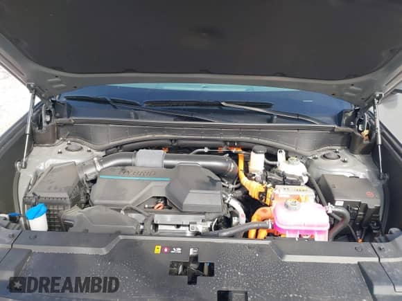 2024 Hyundai Santa Fe SEL with VIN 5NMP24G10RH007199, listed as a IAAI auction lot 41964552 with 13,417 mi miles and . Bid and sale history available at DreamBid. Image 10.