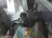 1993 Nissan Frontier SE с VIN 1N6HD16Y2PC314023, выставлен на аукционе Copart как лот 87531235 с пробегом Не указан миль и Чистый • Clean title. История ставок и продаж доступна на DreamBid. Изображение 8.