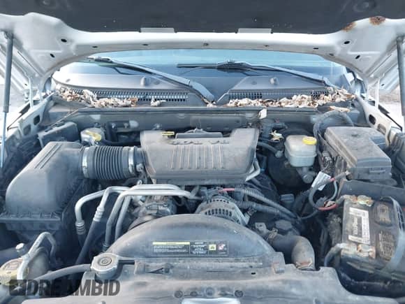 2008 Dodge Dakota Laramie z VIN 1D7HW58N68S633283, wystawiony jako IAAI lot #40745150 z przebiegiem 179 344 mil mil oraz . Historia ofert i sprzedaży dostępna na DreamBid. Obrazek 10.