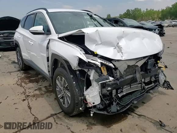 2022 Hyundai Tucson Blue with VIN KM8JBCA1XNU029931, listed as a Copart auction lot 65413895 with 82,437 mi miles and Salvage title. Bid and sale history available at DreamBid. Image 15.